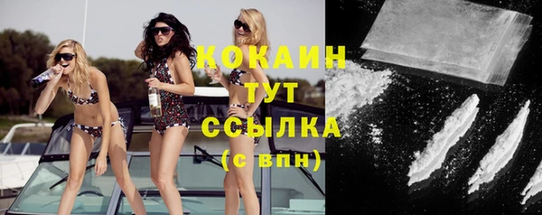 крисы Белокуриха