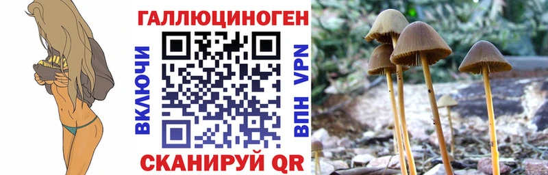 Псилоцибиновые грибы Magic Shrooms  Купить где  Емва 